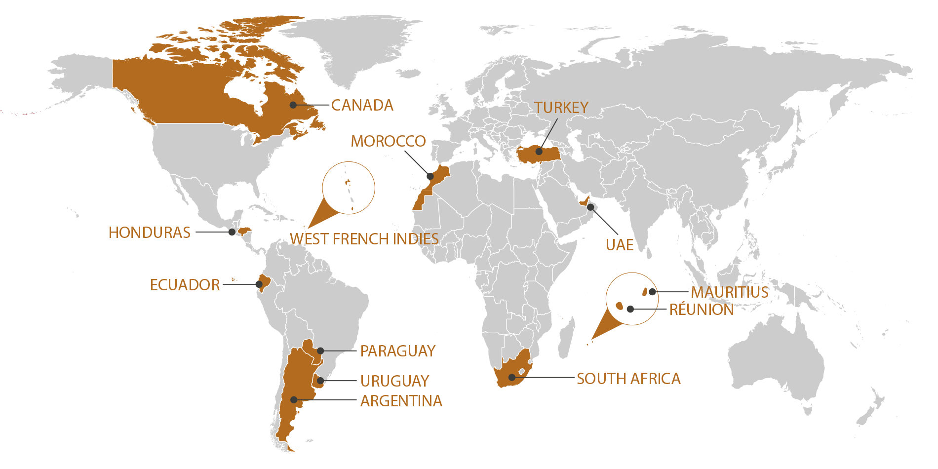 RGIS_FRANCHISE_WORLD_EN_1125. RGIS Franchise