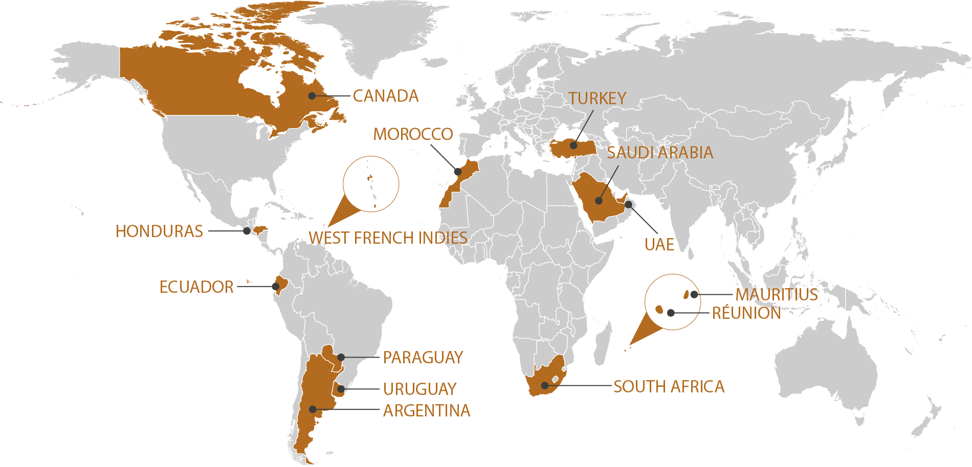 RGIS_FRANCHISE_WORLD_EN
